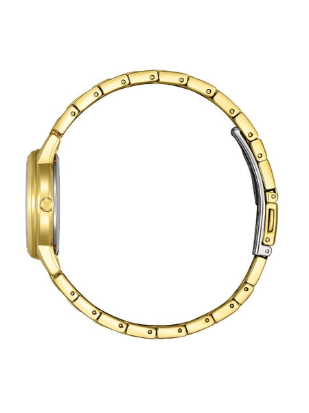 Naiste käekell Citizen Eco-Drive Elegance FE1242-78D - Premiumkellad