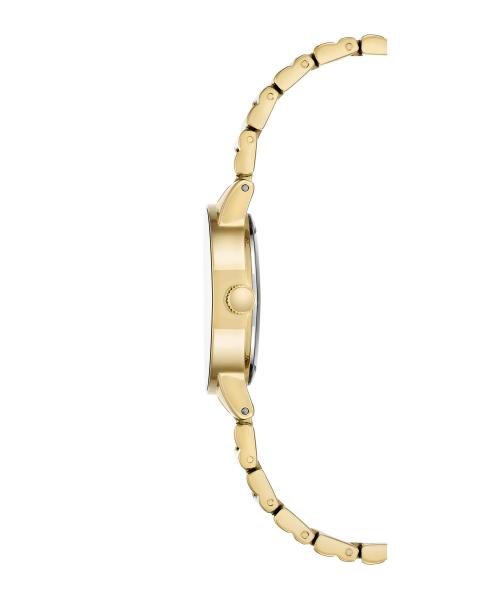 Naiste käekell Anne Klein Diamond AK/2670TMGB - Premiumkellad