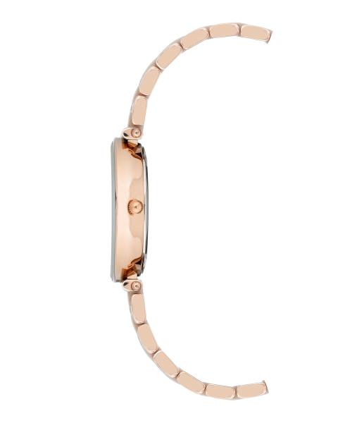 Naiste käekell Anne Klein Ceramic AK/3158TPRG - Premiumkellad