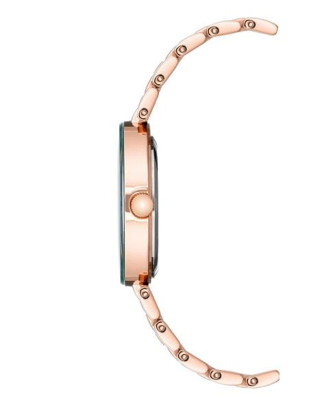Naiste käekell Anne Klein Diamond AK/1362GNRG - Premiumkellad
