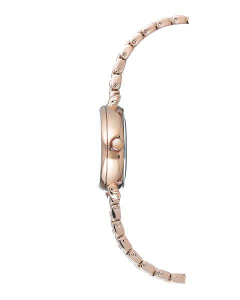Naiste käekell Anne Klein AK/2662SVRG - Premiumkellad