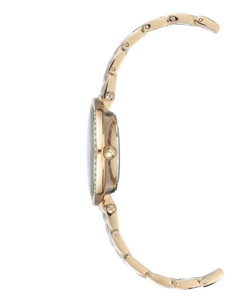 Naiste käekell Anne Klein Crystal AK/2966SVGB - Premiumkellad