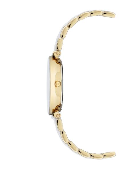 Naiste käekell Anne Klein Ceramic AK/3158WTGB - Premiumkellad